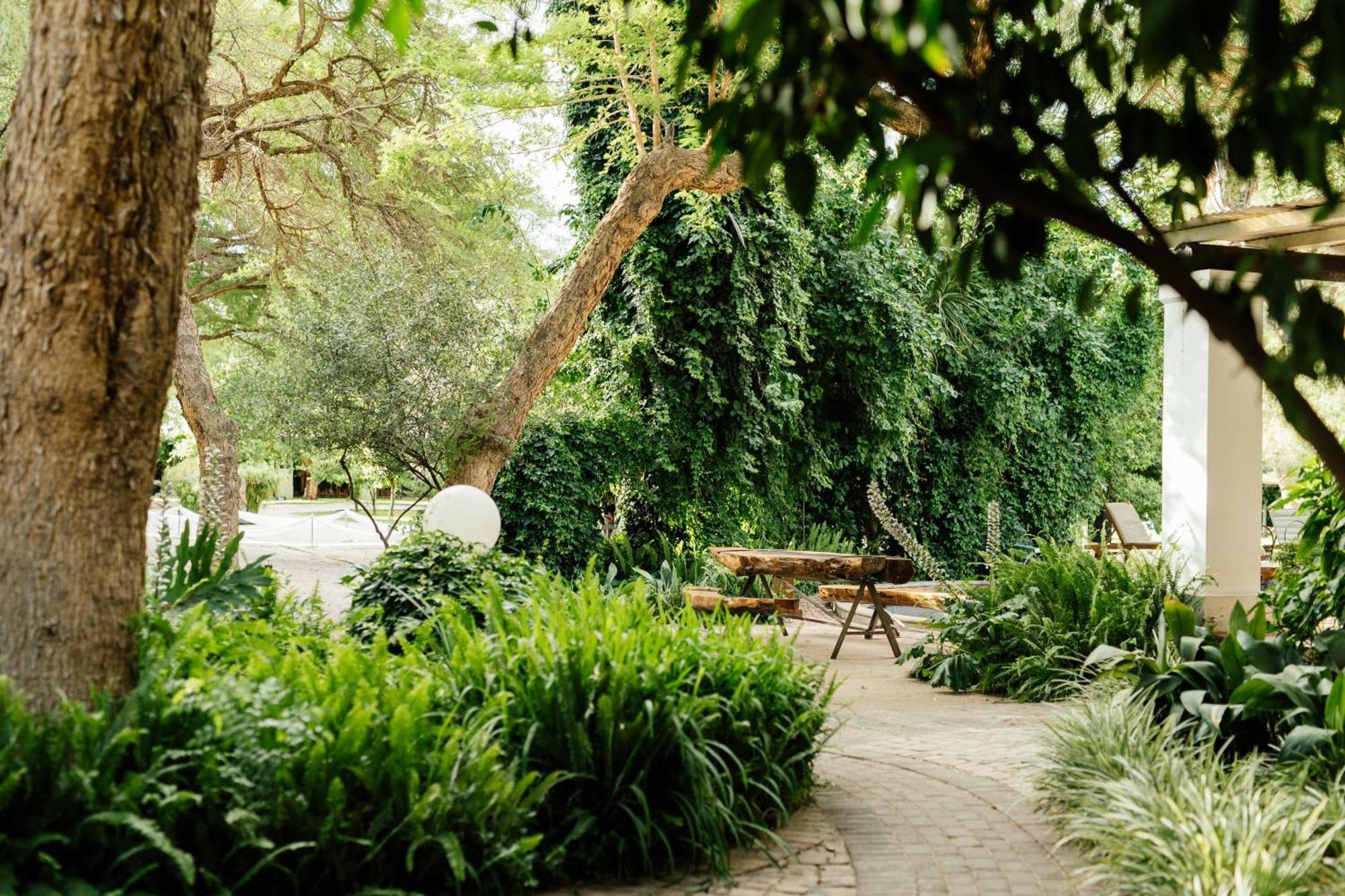 Upington African Vineyard Boutique Hotel & Spa Keimoes Екстер'єр фото