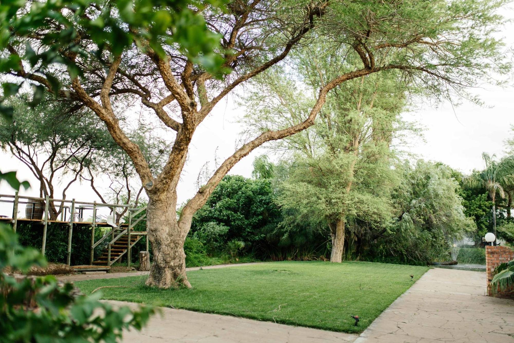 Upington African Vineyard Boutique Hotel & Spa Keimoes Екстер'єр фото