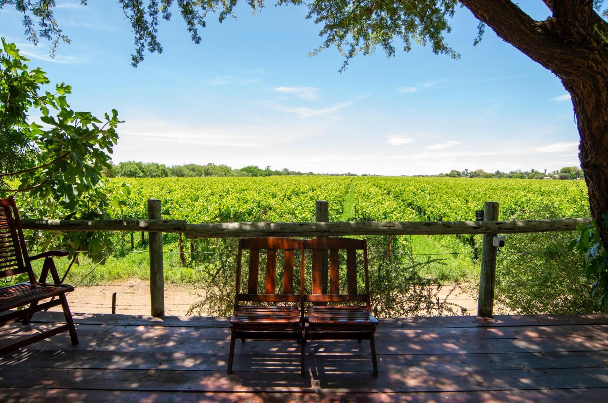 Upington African Vineyard Boutique Hotel & Spa Keimoes Екстер'єр фото